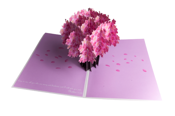 3D Popup Cherry Blossoms 