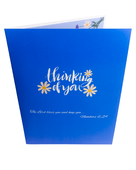 Thinking of You 3D Popup "Daisies" Greeting Card by HOLY BEARS INC.